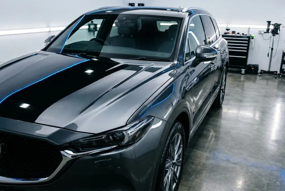 Paint Protection